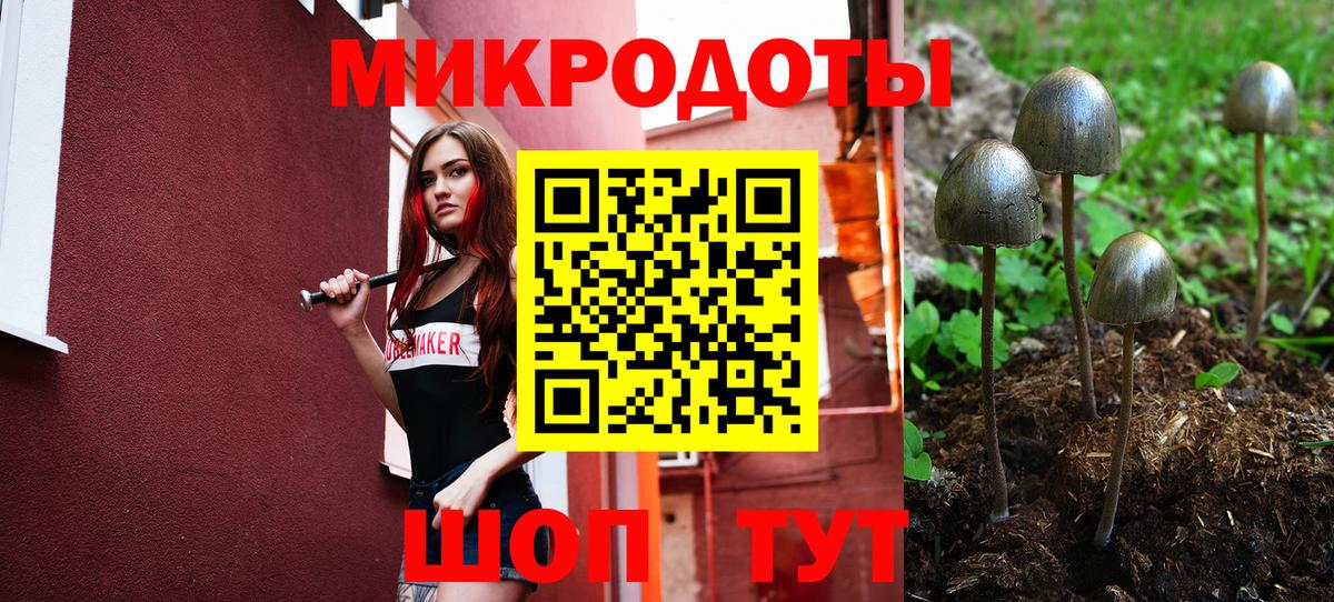 Псилоцибиновые грибы MAGIC MUSHROOMS  Вход с VPN  где можно купить наркотик  Тулун  Галлюциногенные грибы GOLDEN TEACHER 